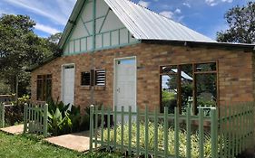 Tribu Ecohostal